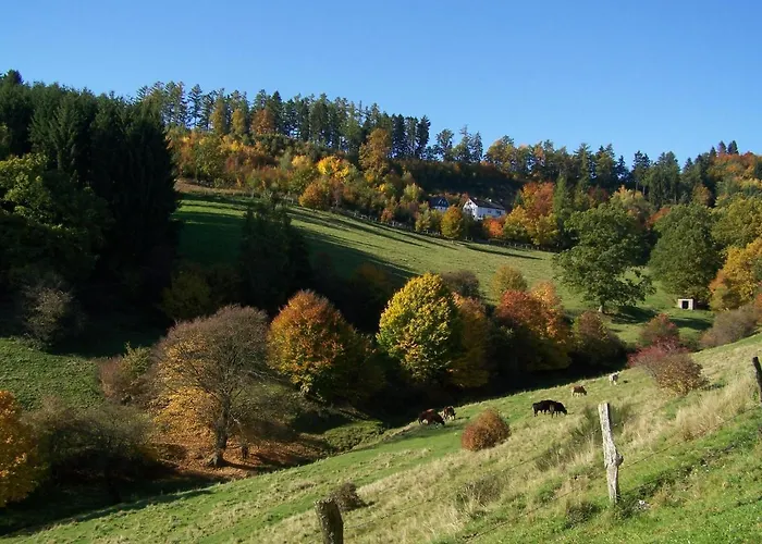 Sonnenpfad Appartement Schmallenberg