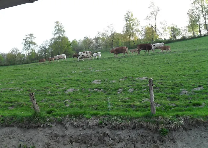 Appartement Sonnenpfad